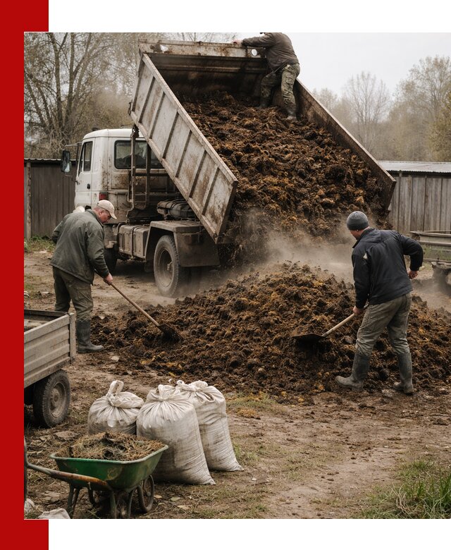 Доставка коровьего навоза самосвалом в Серове